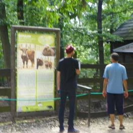 Budakeszi Vadaspark Budakeszi - Egyéb