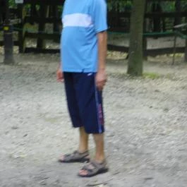 Budakeszi Vadaspark Budakeszi - Egyéb