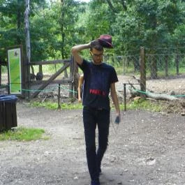 Budakeszi Vadaspark Budakeszi - Egyéb