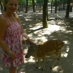 Budakeszi Vadaspark Budakeszi - 