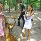 Budakeszi Vadaspark Budakeszi - 