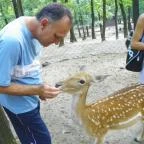 Budakeszi Vadaspark Budakeszi - 