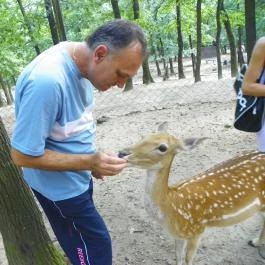 Budakeszi Vadaspark Budakeszi - Egyéb