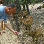 Budakeszi Vadaspark Budakeszi - 