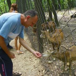 Budakeszi Vadaspark Budakeszi - Egyéb