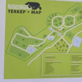 Budakeszi Vadaspark Budakeszi - Egyéb