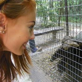 Budakeszi Vadaspark Budakeszi - Egyéb