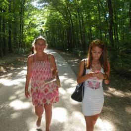 Budakeszi Vadaspark Budakeszi - Egyéb