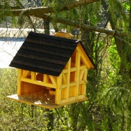 Calimbra Konferencia & Wellness Hotel Miskolctapolca - Környék