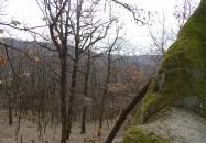 Cserépváraljai kaptárkövek Cserépváralja