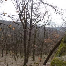 Cserépváraljai kaptárkövek, Cserépváralja - 