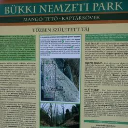 Cserépváraljai kaptárkövek, Cserépváralja - 