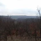 Cserépváraljai kaptárkövek Cserépváralja - 