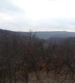 Cserépváraljai kaptárkövek