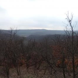 Cserépváraljai kaptárkövek, Cserépváralja - 