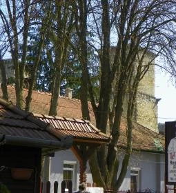 Diósgyőri Várkert Panzió Étterme