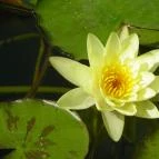 Egri Termálfürdő Eger - 