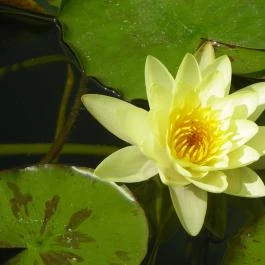 Egri Termálfürdő Eger - Egyéb