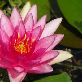 Egri Termálfürdő Eger - Egyéb