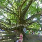 Egri Termálfürdő Eger - 