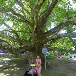 Egri Termálfürdő Eger - Egyéb