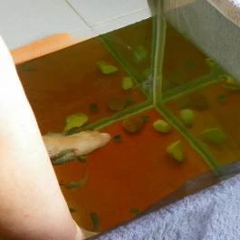 Egri Termálfürdő Eger - Egyéb