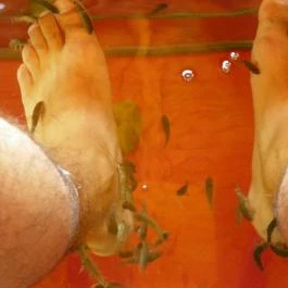 Egri Termálfürdő Eger - Egyéb