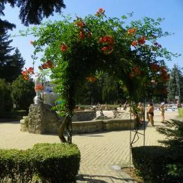 Egri Termálfürdő Eger - Egyéb