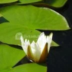 Egri Termálfürdő Eger - 