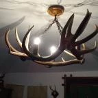 Erdészeti Múzeum Szilvásvárad - 