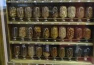 Erdészeti Múzeum Szilvásvárad