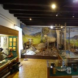 Erdészeti Múzeum Szilvásvárad - Egyéb
