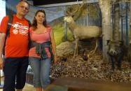 Erdészeti Múzeum Szilvásvárad