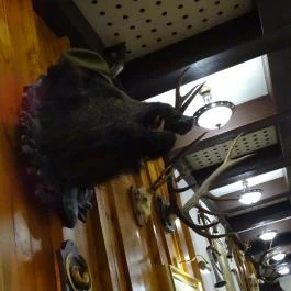 Fehérszarvas Vadásztanya Étterem Eger - Egyéb