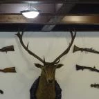 Fehérszarvas Vadásztanya Étterem Eger - Egyéb