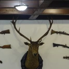 Fehérszarvas Vadásztanya Étterem Eger - Egyéb