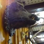 Fehérszarvas Vadásztanya Étterem Eger - Egyéb