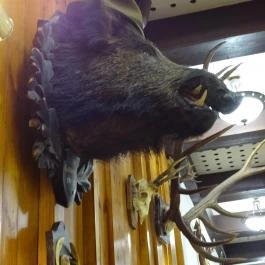 Fehérszarvas Vadásztanya Étterem Eger - Egyéb