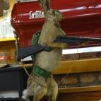 Fehérszarvas Vadásztanya Étterem Eger - Egyéb