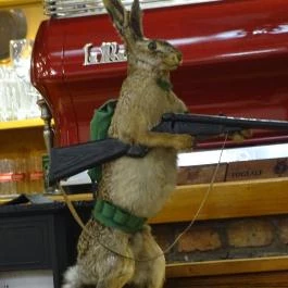 Fehérszarvas Vadásztanya Étterem Eger - Egyéb