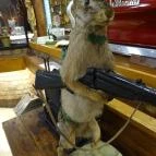 Fehérszarvas Vadásztanya Étterem Eger - Belső