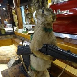 Fehérszarvas Vadásztanya Étterem Eger - Belső