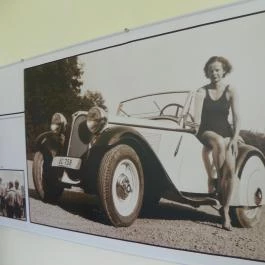 Festetics-kastély Dég - Egyéb