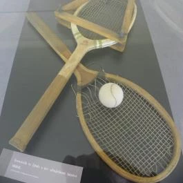 Festetics-kastély Dég - Egyéb