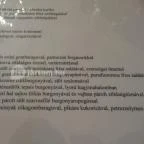 Forgách Kastély Mándok - Vendéglátás