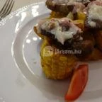 Forgách Kastély Mándok - Vendéglátás