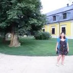 Forgách Kastély Mándok - Medence/kert