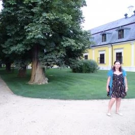 Forgách Kastély Mándok - Medence/kert