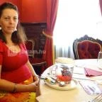 Forgách Kastély Mándok - Egyéb