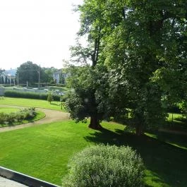 Forgách Kastély Mándok - Medence/kert